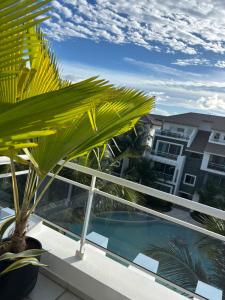 Luxury Apartment Dominicus