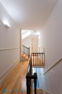 Blu Constellation - Santa Catarina