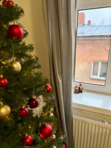 Cēsis Home&Heart Apartments