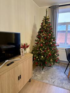 Cēsis Home&Heart Apartments