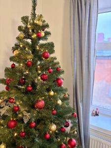 Cēsis Home&Heart Apartments