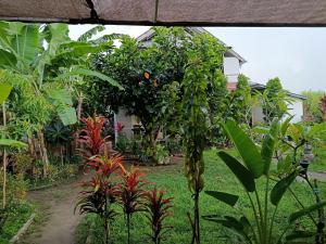 The Daun Puntik HomeStay