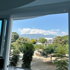 Elegant Modern White Suite