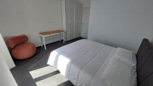 Rome St Peter Vatican Vatican Museums Colosseum