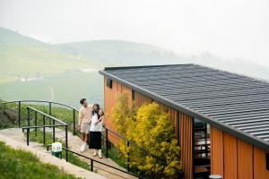 Bobocabin Signature Kawah Ciwidey, Bandung