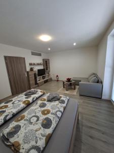 Apartmán Wellness-Detva