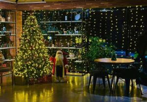 Bakuriani art apart hotel 203