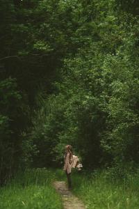 Collis Hill Chalets & Hotel