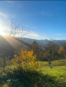 Будинок під Менчулом