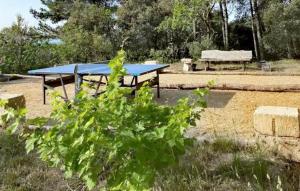 Maison Piscine Proche Alpilles