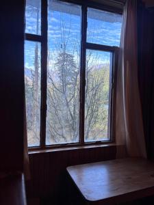 Oreos cafe and stay shangarh