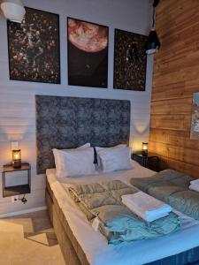 ArcticStay Timmerstugan