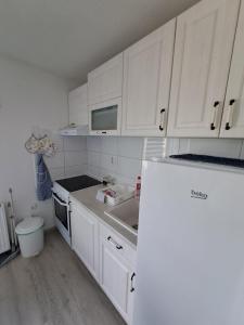 std- Na lepom plavom Dunavu