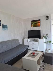 std- Na lepom plavom Dunavu