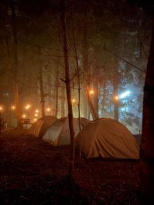 Camp Wildnest Adventures Dambuk