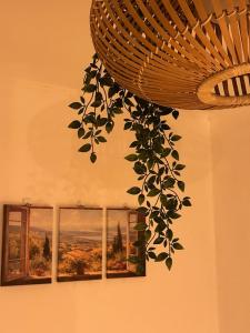 Rustic Mangwon - 1min Busstop, 1min Hangang Park