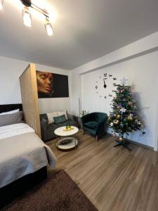 Cosy Nest Braşov Coresi