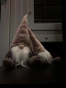 Row house apartment in Rovaniemi