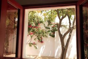 Beautiful and cozy cottage near Antequera