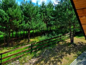 Domki całoroczne u Greściaków