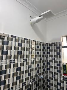 Studio in Nanyuki with Mount Kenya Views