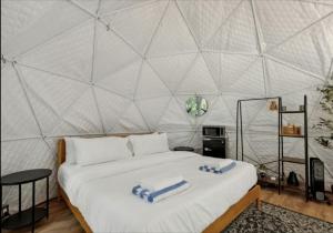 Romantic Dome with Hot Tub for an Incredible Couples Escape in Nature near Greentown, Pennsylvania