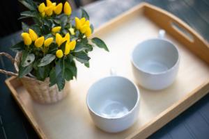 Casa Vacanze Lentisco by ElbaSummer