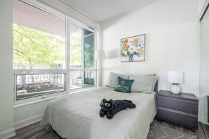 2 Bedroom with Private Entrance Downtown Toronto