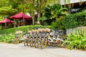 Gia Huy Riverside Hotel Hoi An