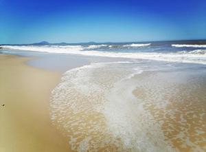 comodo y luminoso monoambiente