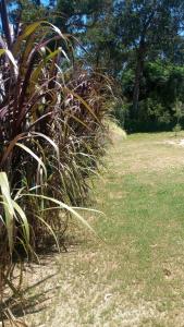 comodo y luminoso monoambiente