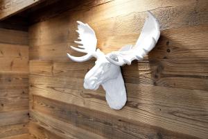 Apt Design a Campiglio 400m funivie