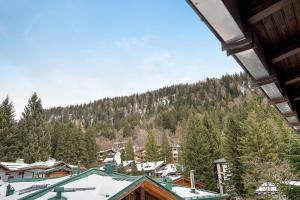 Apt Design a Campiglio 400m funivie