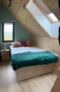 Villa Jungle House - Mazury