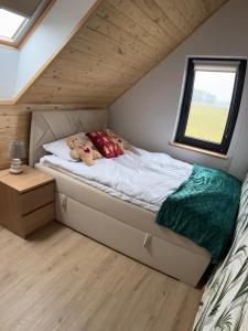 Villa Jungle House - Mazury