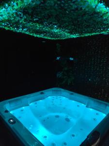 Appartement Ferme des Tournelles Jacuzzi privé