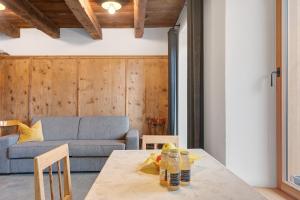 Alpin Chalet Samer Apt Berghütte