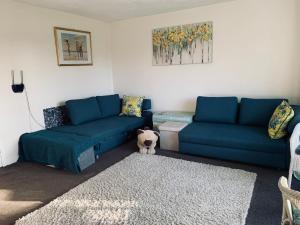 Facing Glasgow Green spacious Apartment Free parking