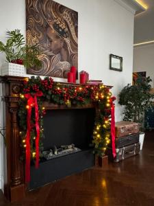 Luxury apartment in center town!