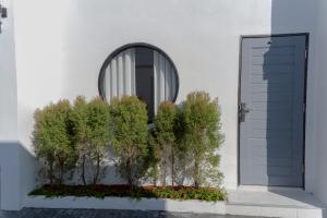 ฌอณบูติค Shon Boutique