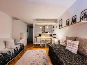 Petit Frachey - Poluc Apartments Monolocale