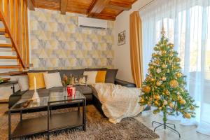 Panorámaház Bükkszék