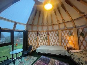 Unique Mongolian Yurt near lake together with guest house