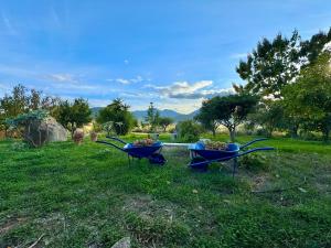 Happy Houses With Garden img45