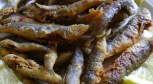 The Villa Hispaniola