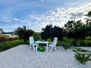 Happy Houses With Garden img47