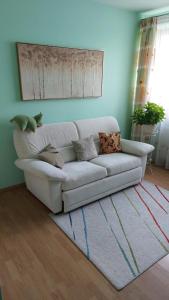 Large apartments Debreceno