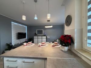 Ekskluzywny Apartament Joanna w centrum Bochni