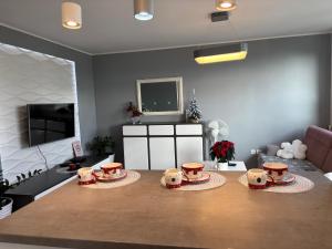 Ekskluzywny Apartament Joanna w centrum Bochni