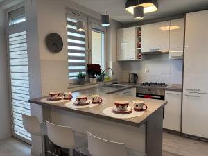 Ekskluzywny Apartament Joanna w centrum Bochni